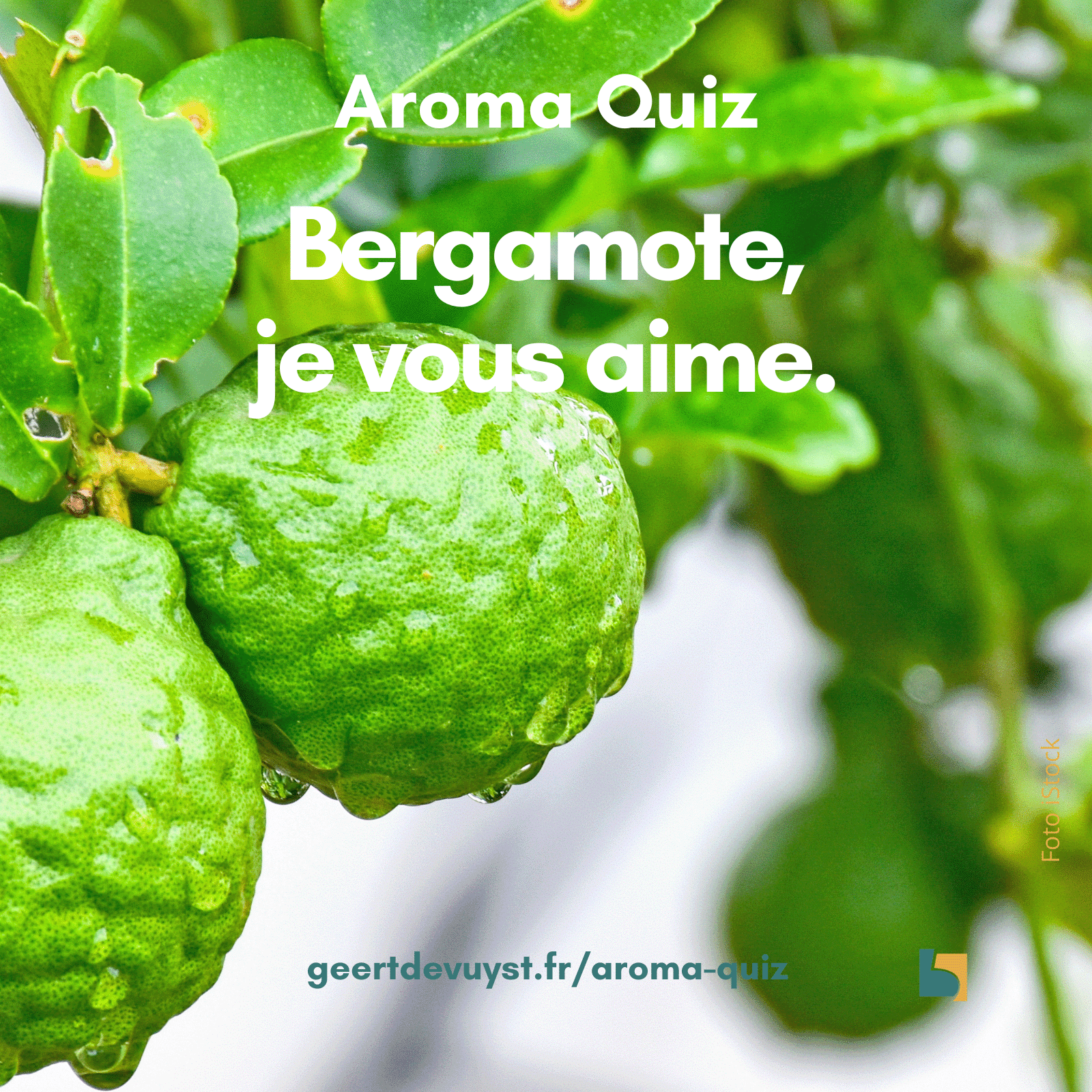 Aroma Quiz - Bergamote, je vous aime.