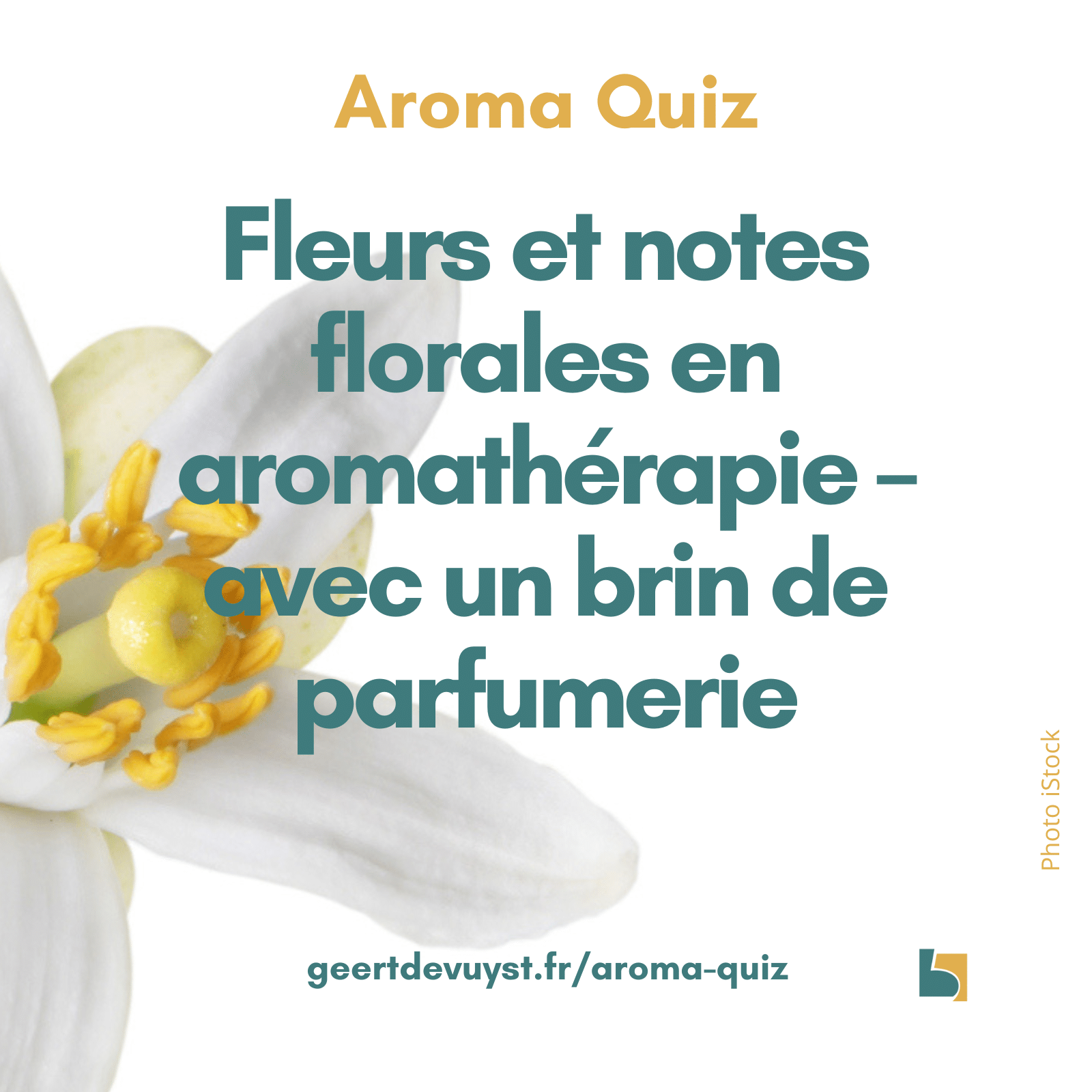 Fleurs et notes florales en aromathérapie