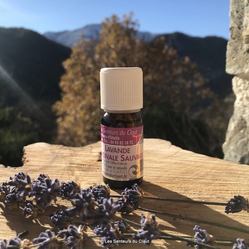 Huile essentielle de Lavande officinale (1400m) - Les Senteurs du Claut