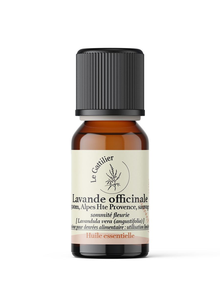 Huile essentielle de Lavande officinale (1500m) - Le Gattilier
