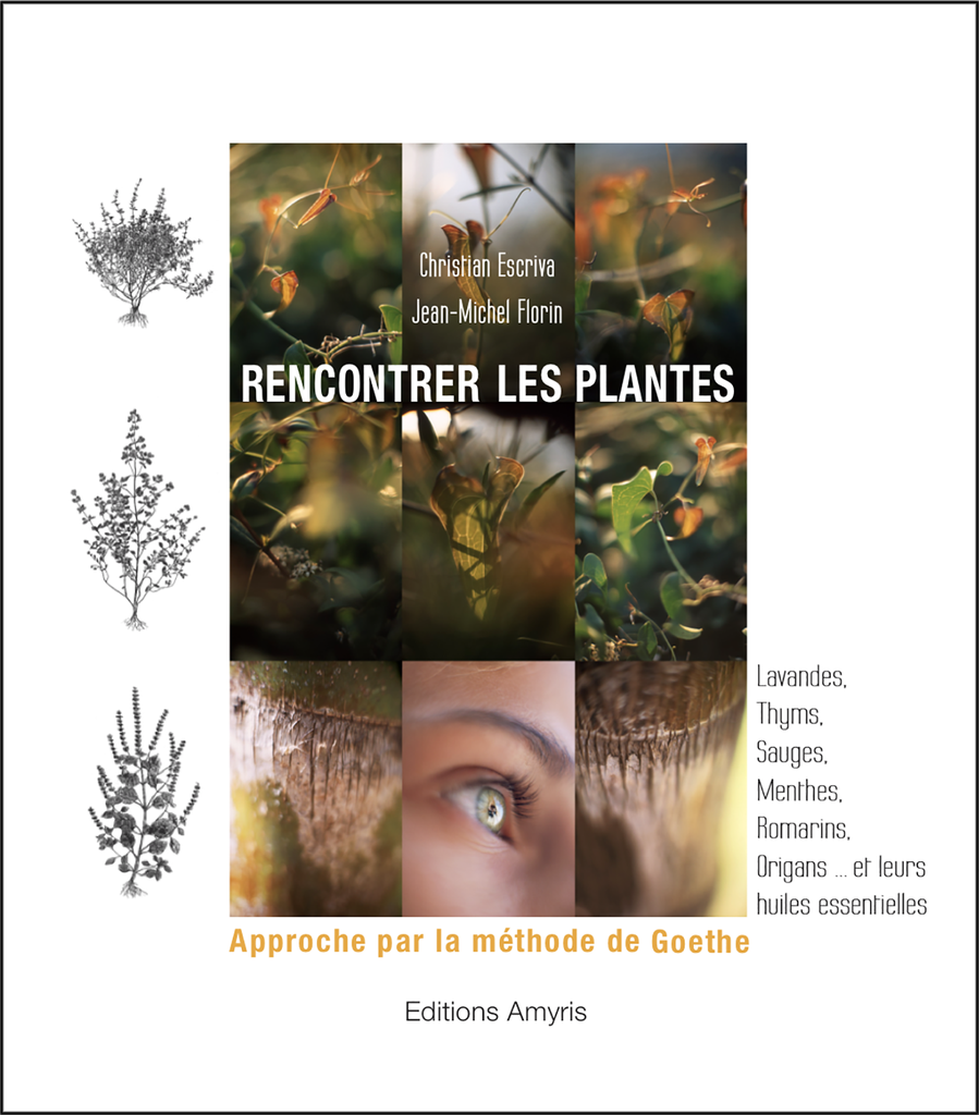 Rencontrer les plantes. Approche par la méthode de Goethe.